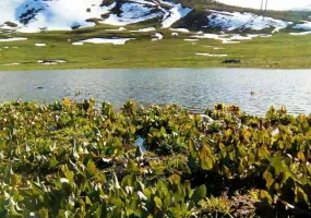 دریاچه قالغانلو