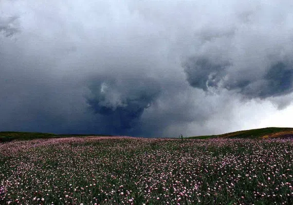 آبشار سردابه