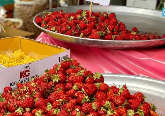 بازار سنندج