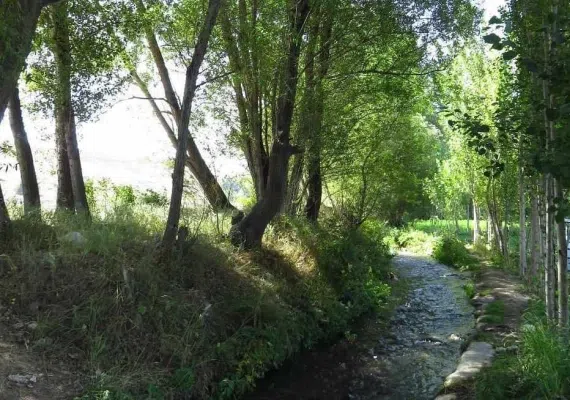 بولاغلار