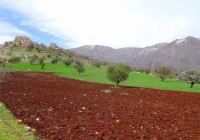 غار کاوات