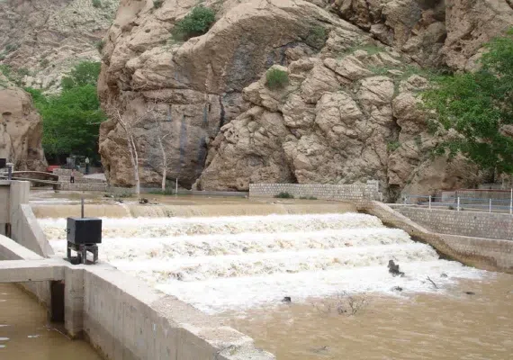 ریجاب