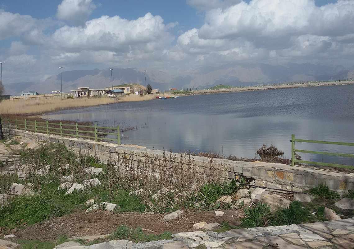 سر آب نیلوفر