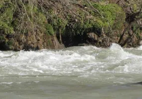 رودخانه سزار