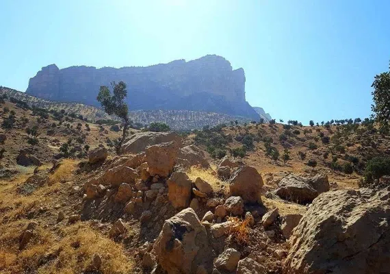 دره ی شیرز