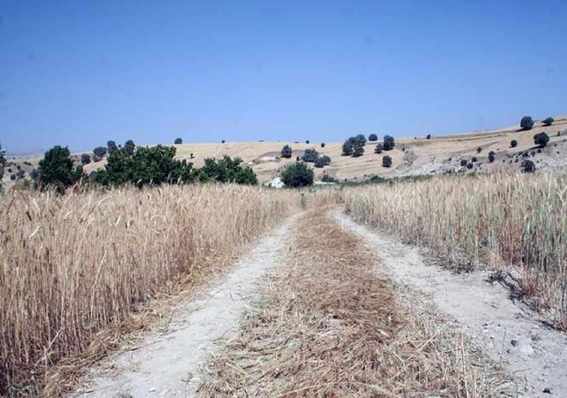 آبشار وه ریز