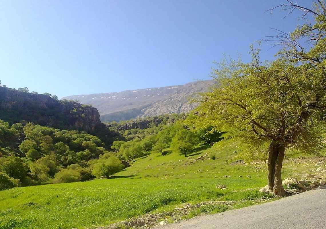 پارک جنگلی ششدار