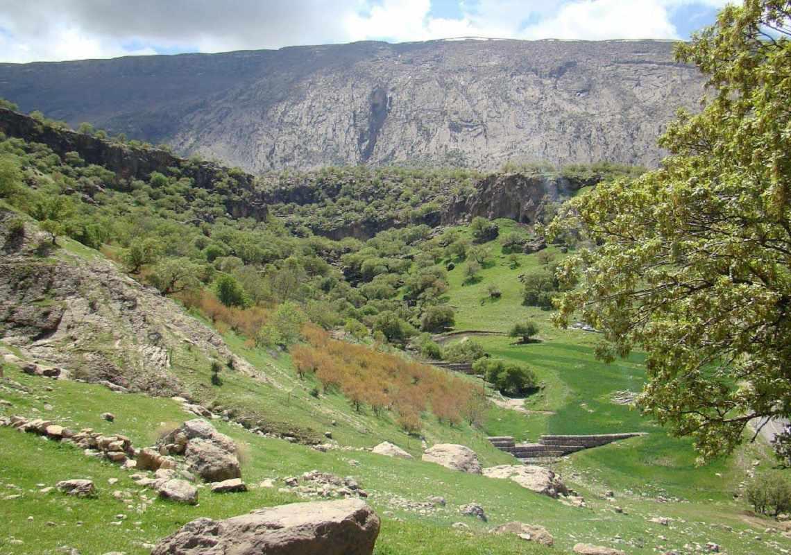 پارک جنگلی ششدار