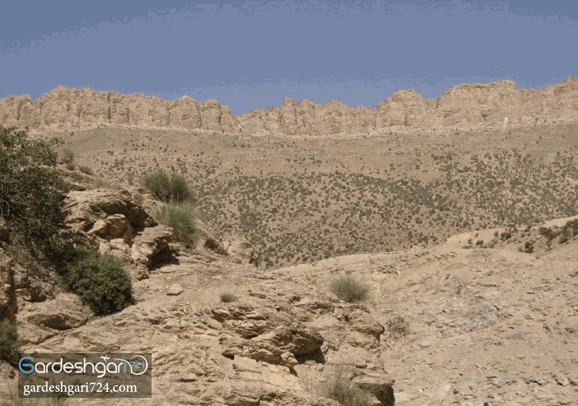 پارک جنگلی چغاسبز