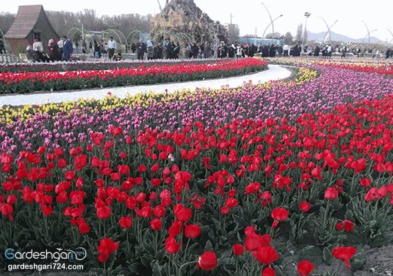 پارک گوللر باغی ارومیه