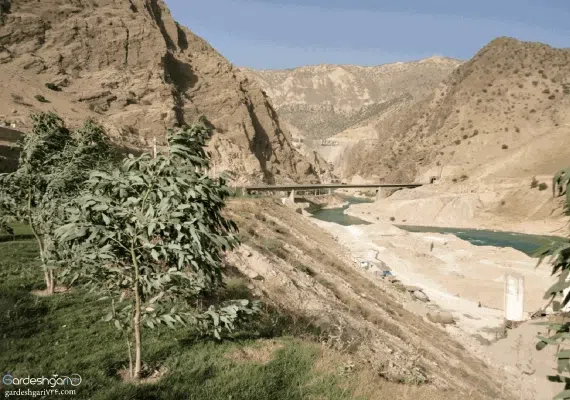 سدکارون4