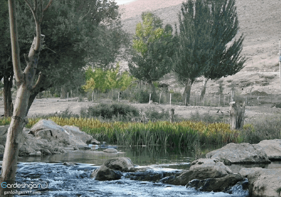 چشمه دیمه