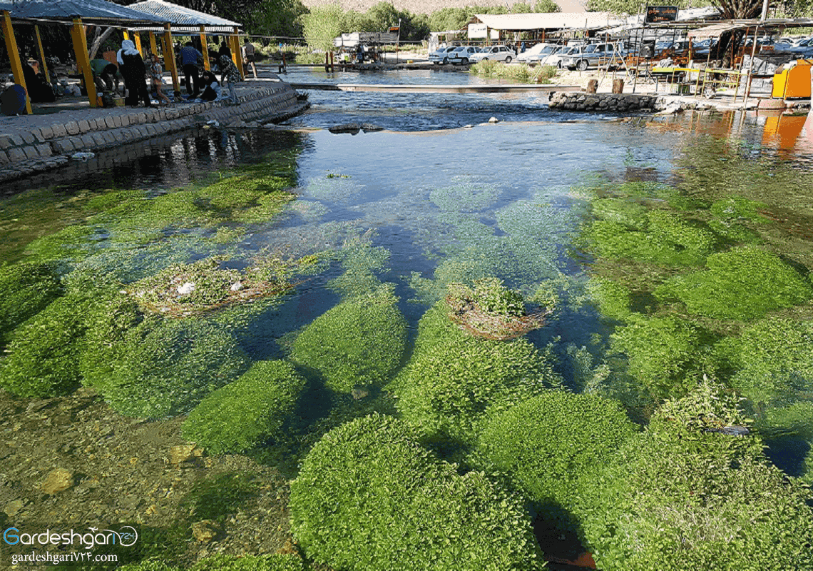 چشمه دیمه