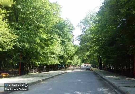 پارک جنگلی قرق