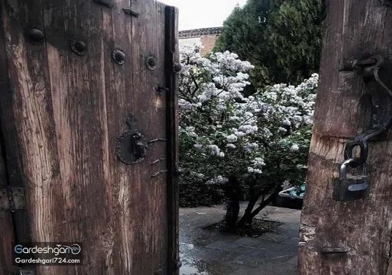 قلعه حاج وکیل