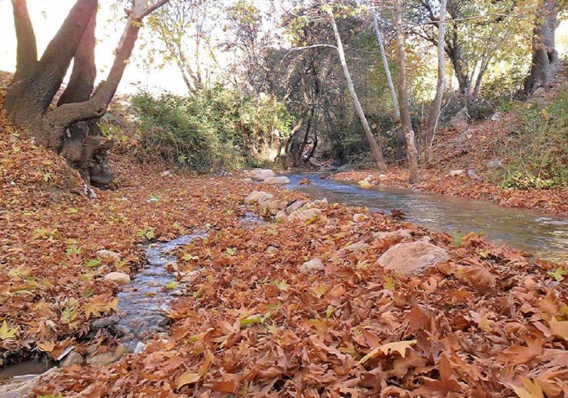 تنگه گنجه ای کجاست