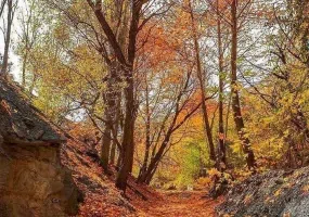 قلات شیراز